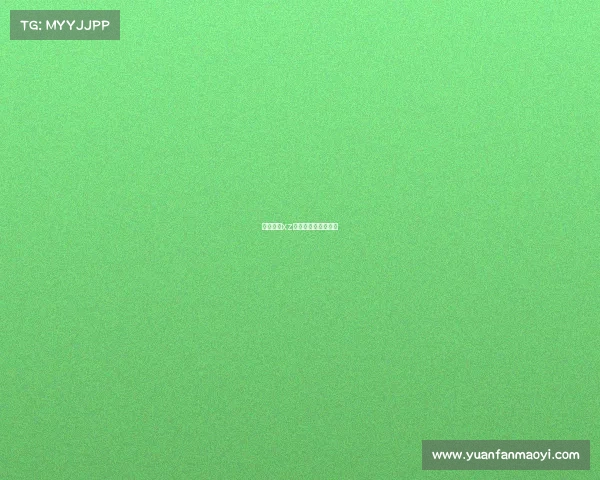 电子竞技xz、电子竞技协会联盟